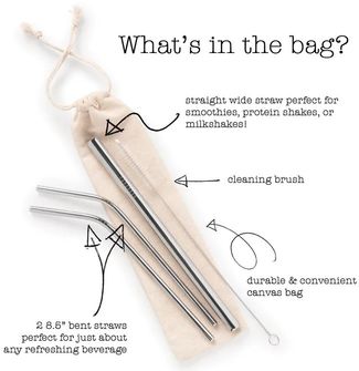 Protecting the Planet Reusable Metal Straw