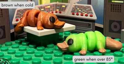 3-D Printed Platypus