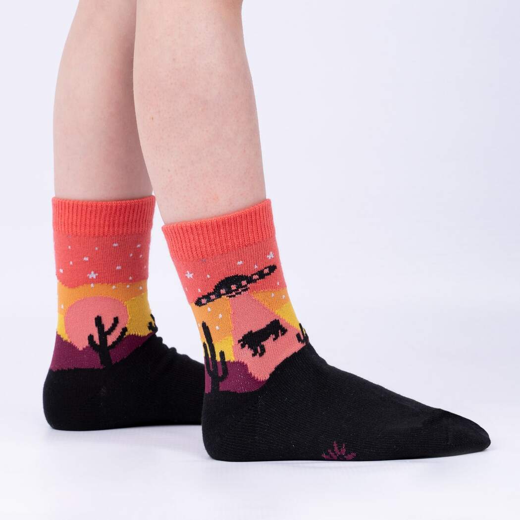 Socks: Area 51 Youth Crew