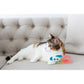 Pawstronaut Cat Toy Set