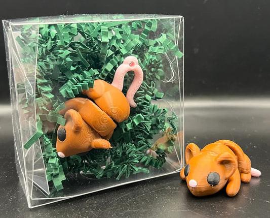 3-D Printed Mouse